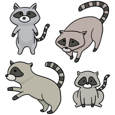 Rakun vektör kümesi