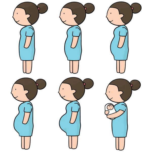 Vector set of pregnant woman — Stock Vector