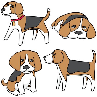 vektör kümesi köpek, beagle