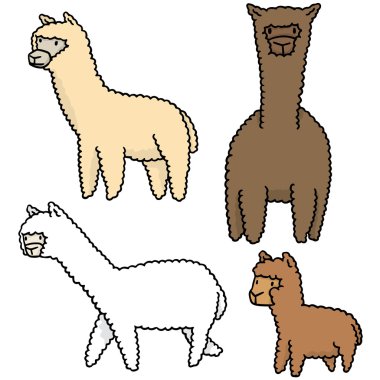 alpaka vektör kümesi