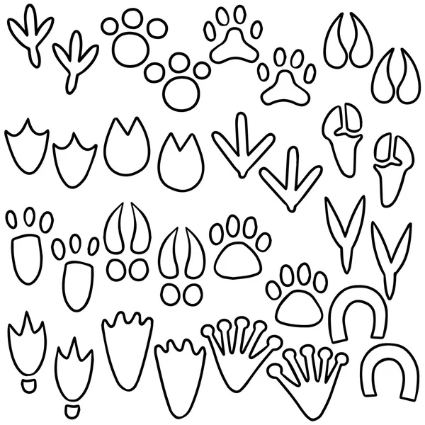 Vector conjunto de huellas animales — Vector de stock