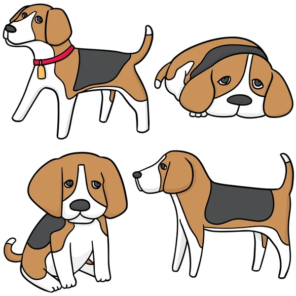 Ensemble vectoriel de chien, beagle — Image vectorielle