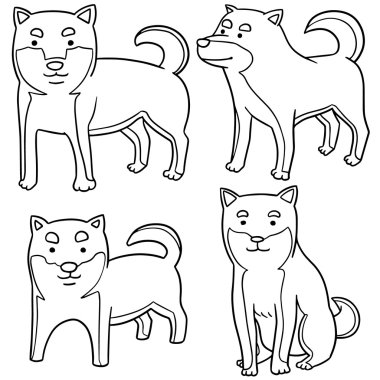köpek, shiba Inu vektör kümesi