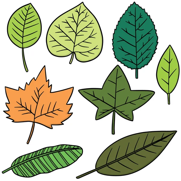 Serie di foglie vettoriali — Vettoriale Stock