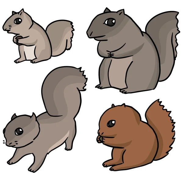 Jeu vectoriel d'écureuils — Image vectorielle