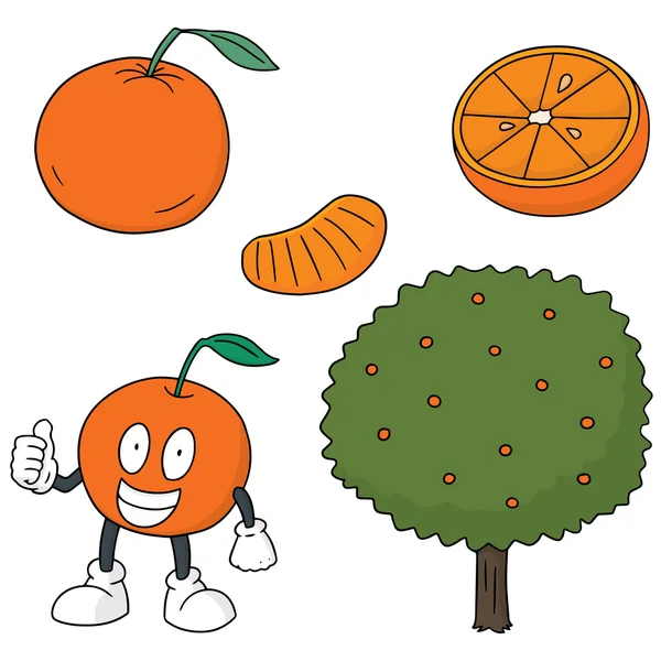 เวกเตอร์เซตของสีส้ม — ภาพเวกเตอร์สต็อก