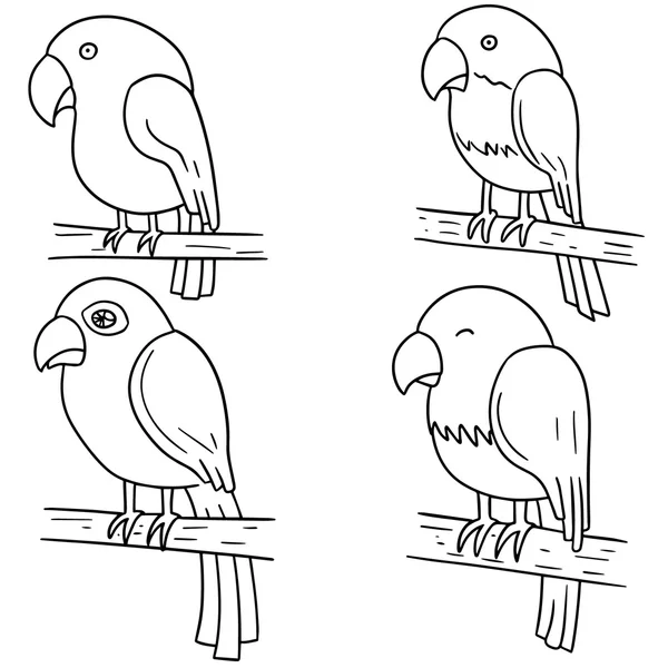 Vektor-Set von Papagei — Stockvektor