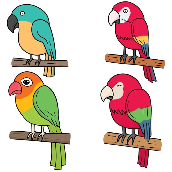 Vector set papegaai — Stockvector