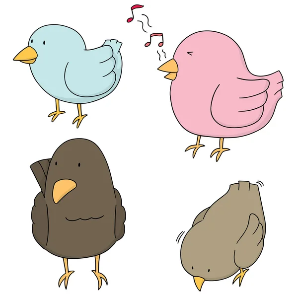 Vector conjunto de aves — Vector de stock