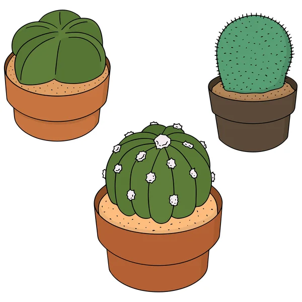 Vector set of cactus — Stock Vector