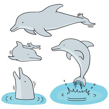 Yunus vektör kümesi