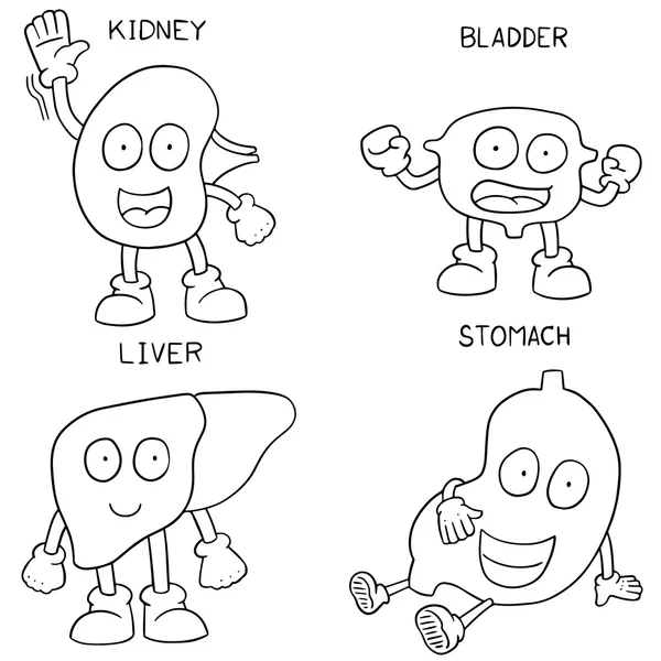 İç organ karikatür vektör kümesi — Stok Vektör