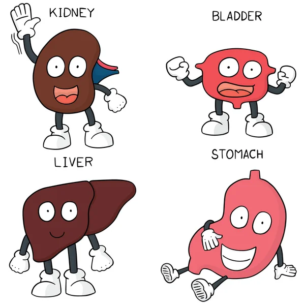 Vektor-Set interner Organkarikatur — Stockvektor