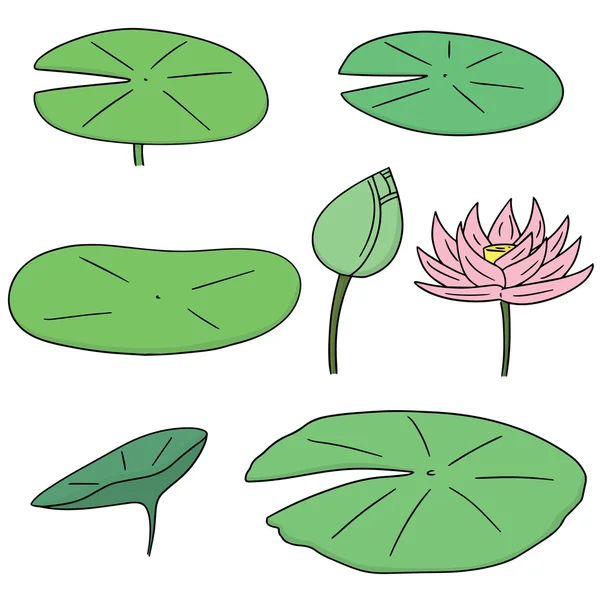 Vector uppsättning lotus — Stock vektor