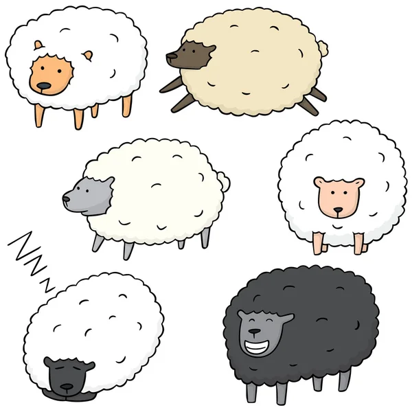 羊のベクトルを設定 — ストックベクタ