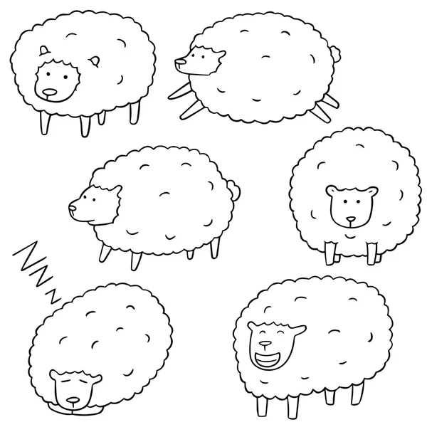 Ensemble vectoriel de moutons — Image vectorielle