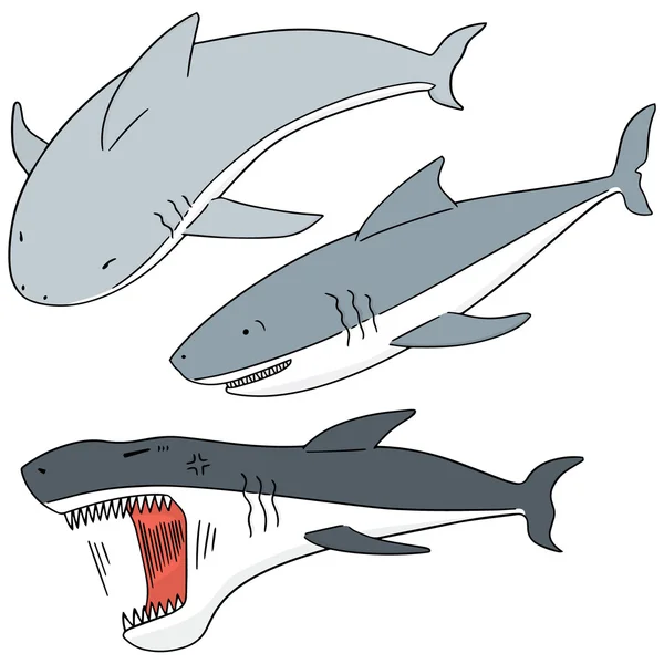 Conjunto vetorial de tubarões —  Vetores de Stock