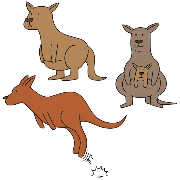Vector set of kangaroo — Stock Vector