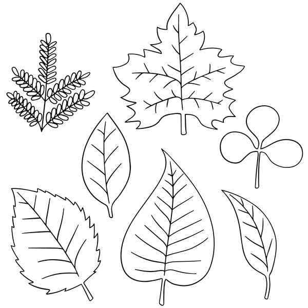 Vector set of leaves — Stock Vector