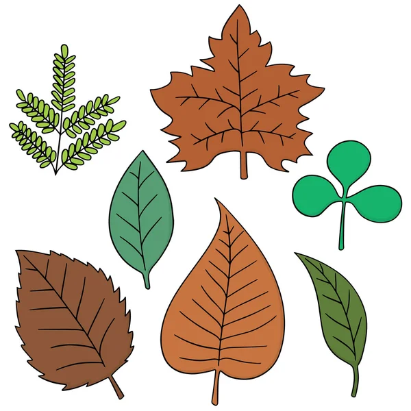 Vector set of leaves — Stock Vector