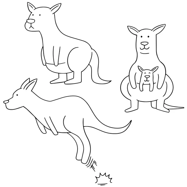 Vector set of kangaroo — Stock Vector