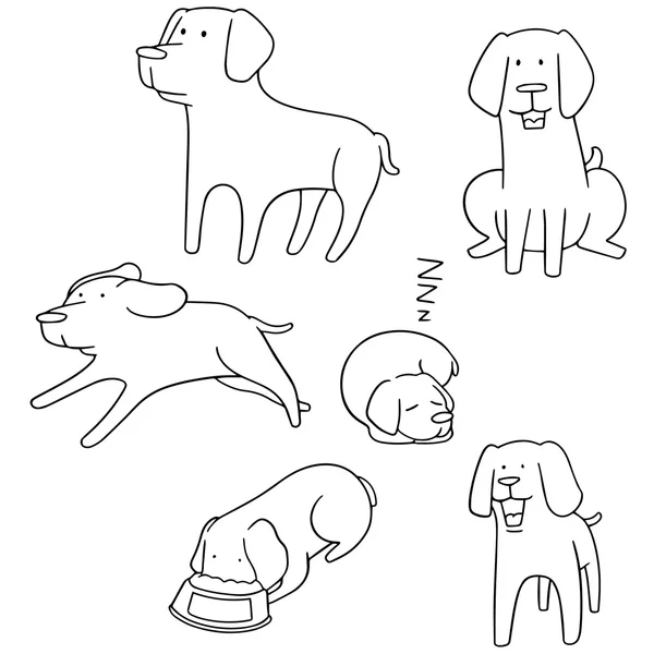 向量集的狗，拉布拉多犬 — 图库矢量图片