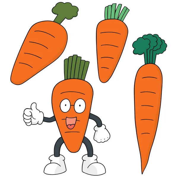 Векторный набор моркови — стоковый вектор