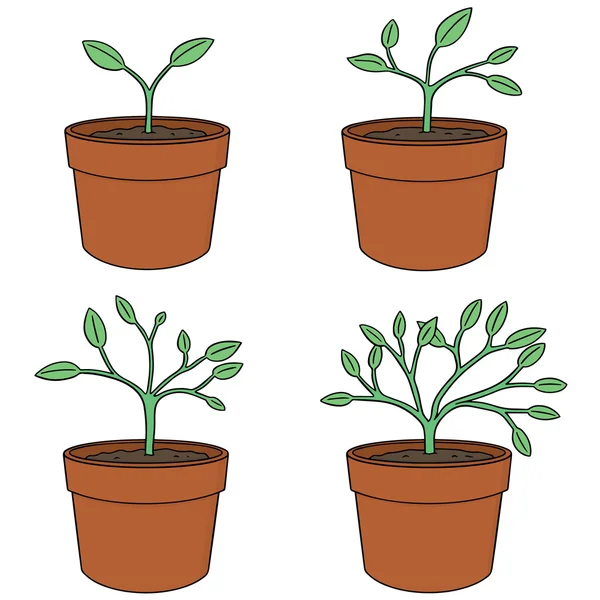 Vector conjunto de árbol en crecimiento — Vector de stock