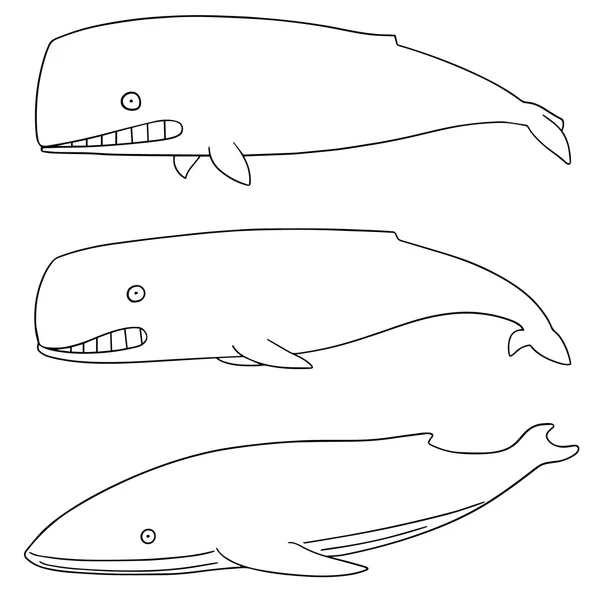 クジラのベクトルを設定 — ストックベクタ