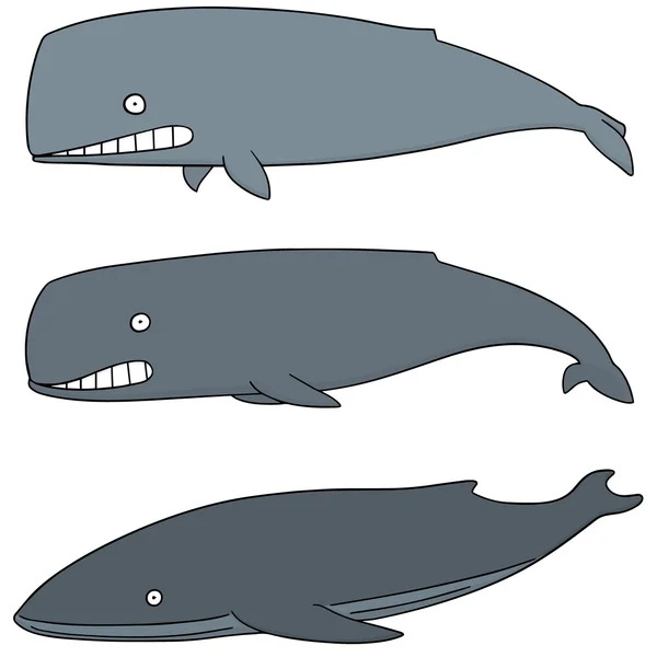 Ensemble vectoriel de baleines — Image vectorielle