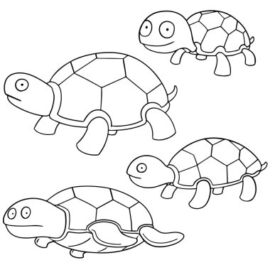 Kaplumbağa vektör kümesi