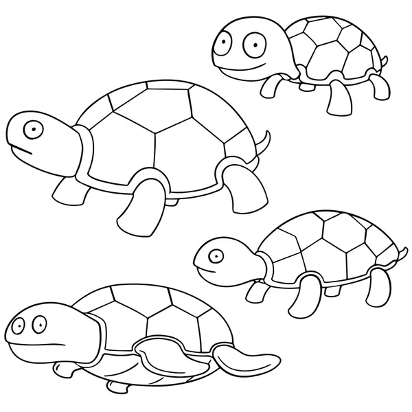 Vector set of turtle — Stock Vector