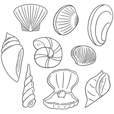 Deniz kabuğu vektör kümesi