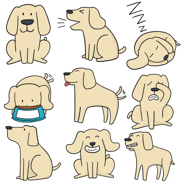 Hond, labrador retriever vector set — Stockvector