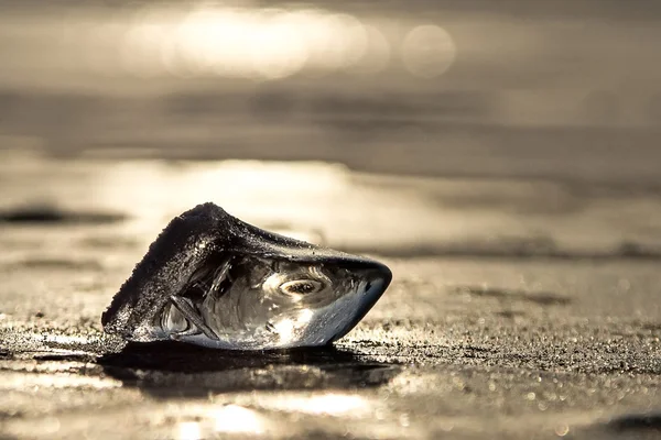 Stück Eis auf dem Baikalsee — Stockfoto