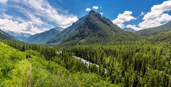 Kucherla 河沿岸的山路 — 图库照片