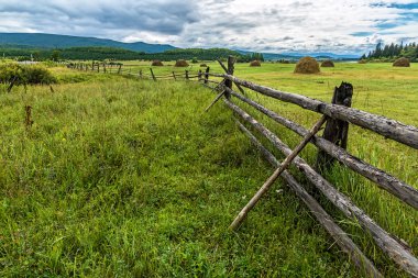 Tunka Vadisi'nde Hayfield