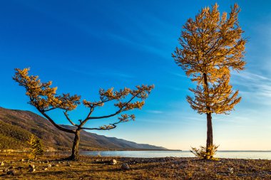 Biz çok farklıyız ama hala birlikteyiz