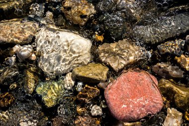 Baykal çakıl su altında