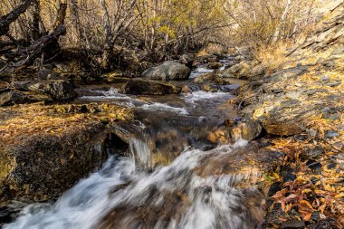 dağ river gorge Kurminskoe içinde