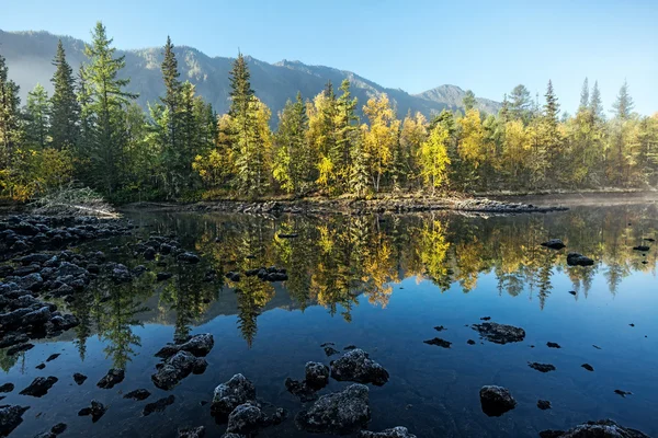 Riflessione degli alberi nel fiume Zhombolok — Foto Stock