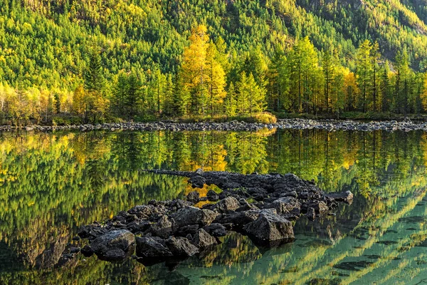 Foresta riflessa nell'acqua perfettamente liscia — Foto Stock