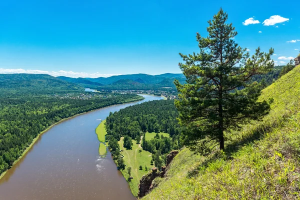tepe üzerinde büyüyen Ladin