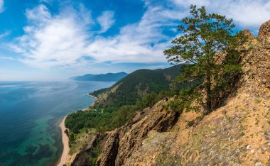 Kayalığın Skriper görüntülemek