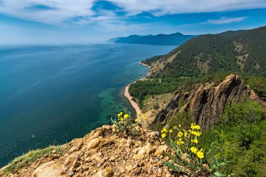 Kayalığın Skriper görüntülemek