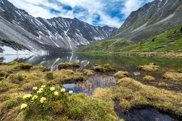 ormangülü altın bir dağ Gölü kıyısında
