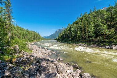 Tunka aralıktaki Kitoy Nehri'nin sırasında hızlı