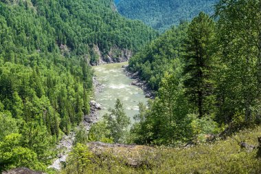 Tunka aralıktaki Kitoy Nehri'nin sırasında hızlı