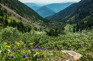 Khamar-Daban ridge görünümünü