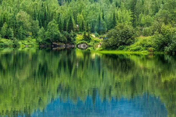 Bäume spiegeln sich im Wasser des Sobolinoe-Sees — Stockfoto